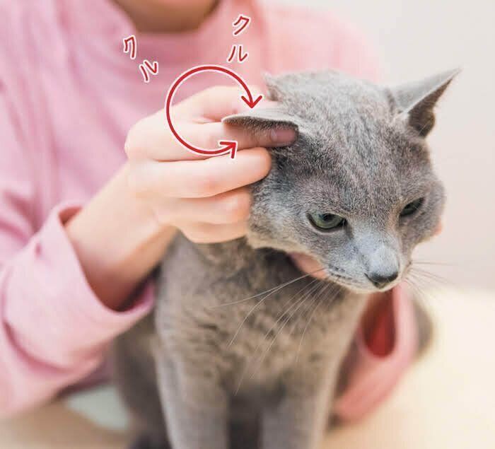 顔のマッサージ