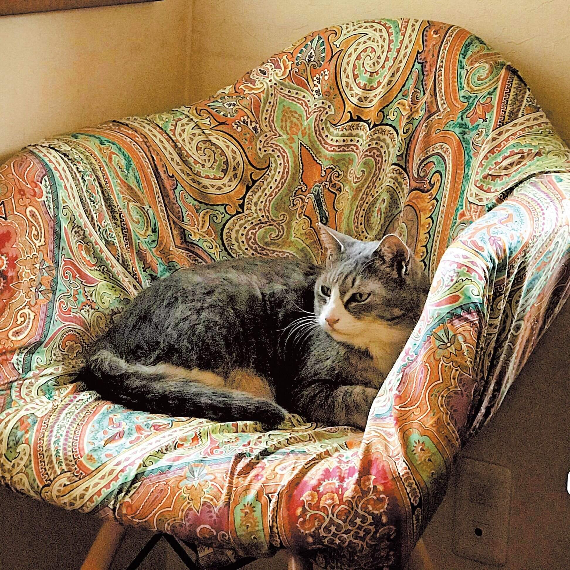 撮影／奥山美奈子