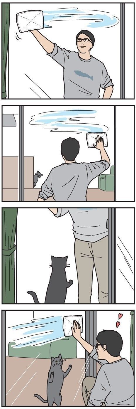 男の猫道