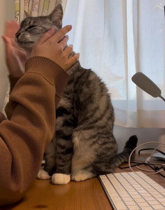 飼い主さんに甘える影丸くん