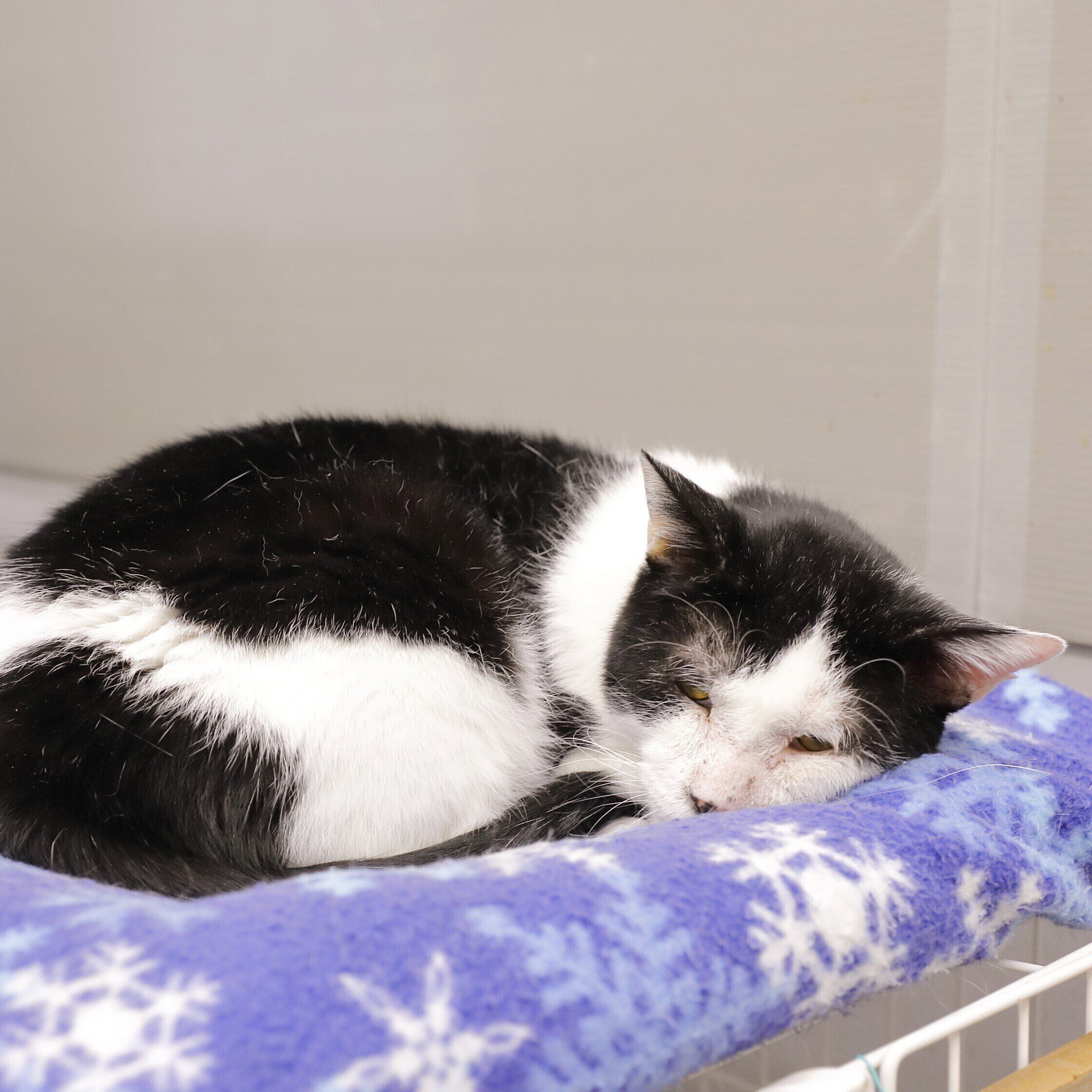 撮影／後藤さくら