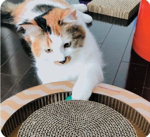 撮影／菊池亜都子先生