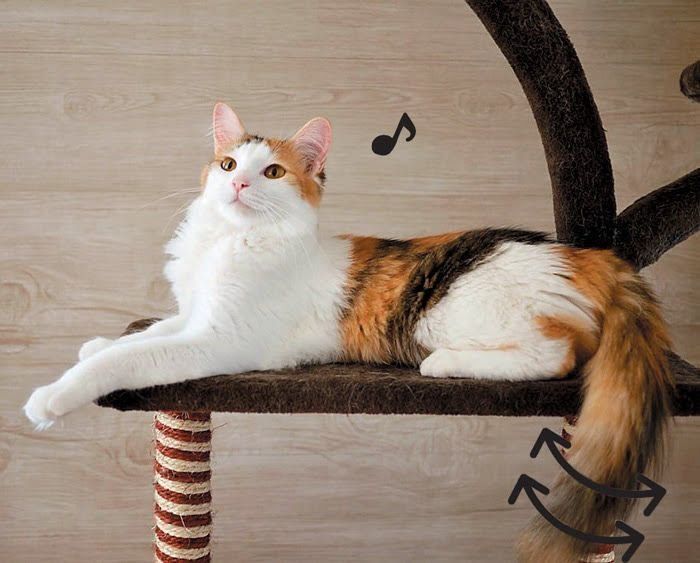 リラックスしている猫