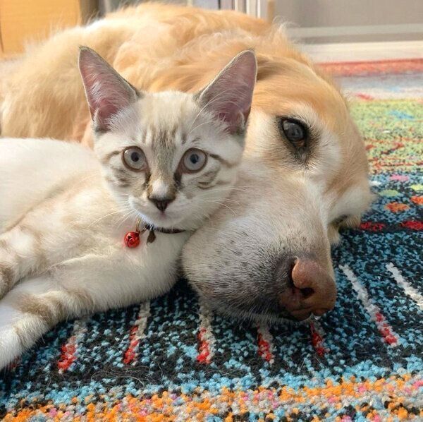 寄り添うネルちゃんとオペルちゃん