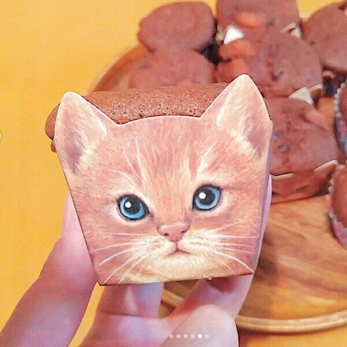 おうち時間をもっと楽しく ダイソーの猫グッズが便利でかわいすぎた ねこのきもちweb Magazine おうち時間をもっと楽しく ダイソーの猫グッズが便利でかわいすぎた ねこのきもちweb Magazine