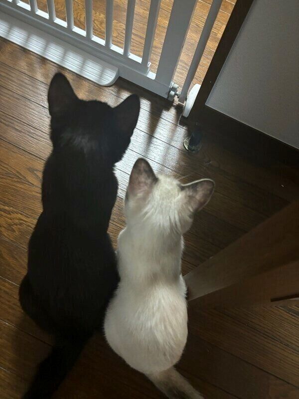 本当の兄妹のような仲良しぶり