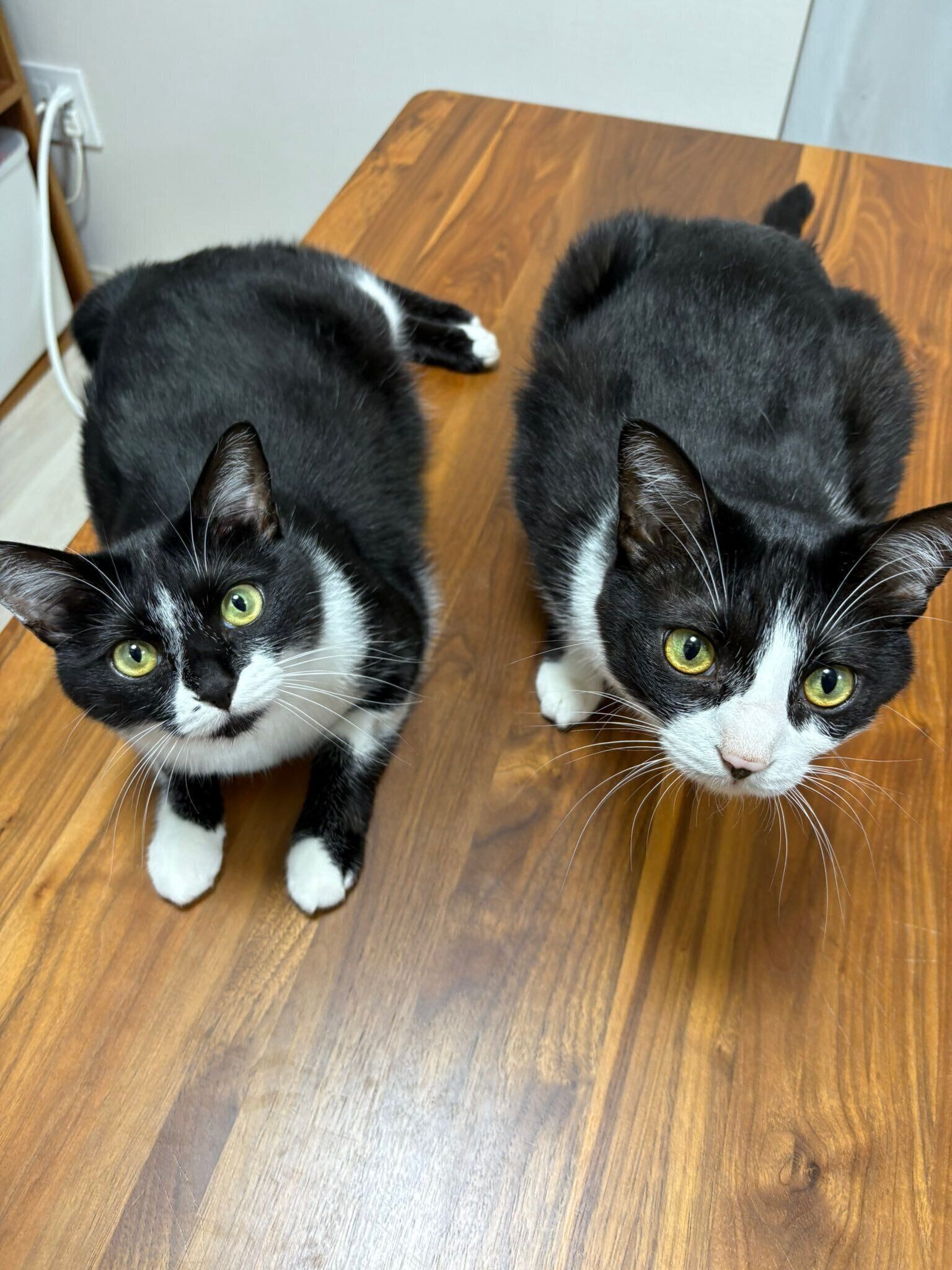 やはり表情はよく似ている？　成長後の1コマ