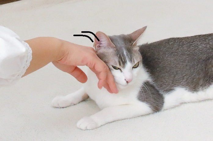 撮影／尾﨑たまき