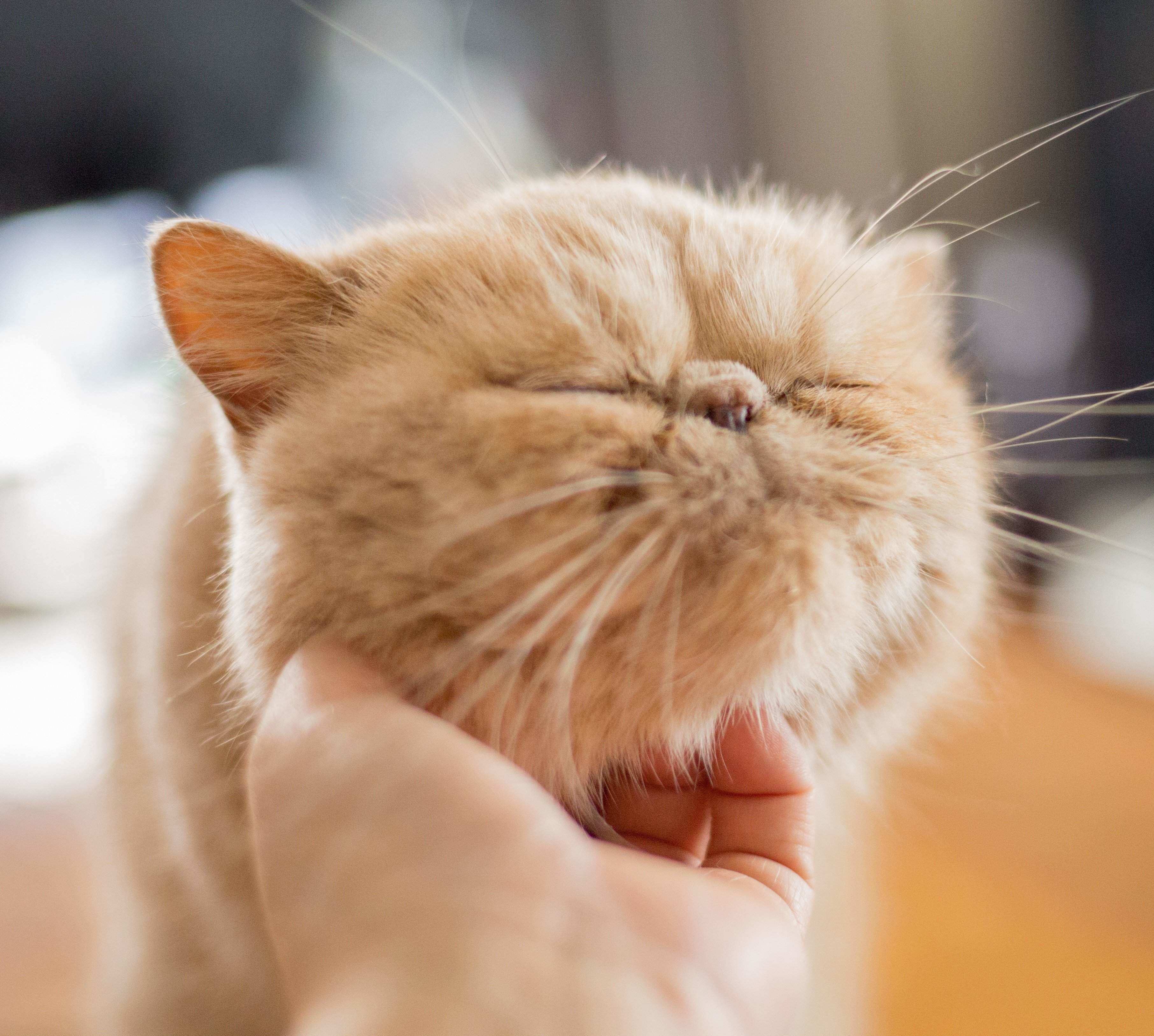 撮影／長谷川里美