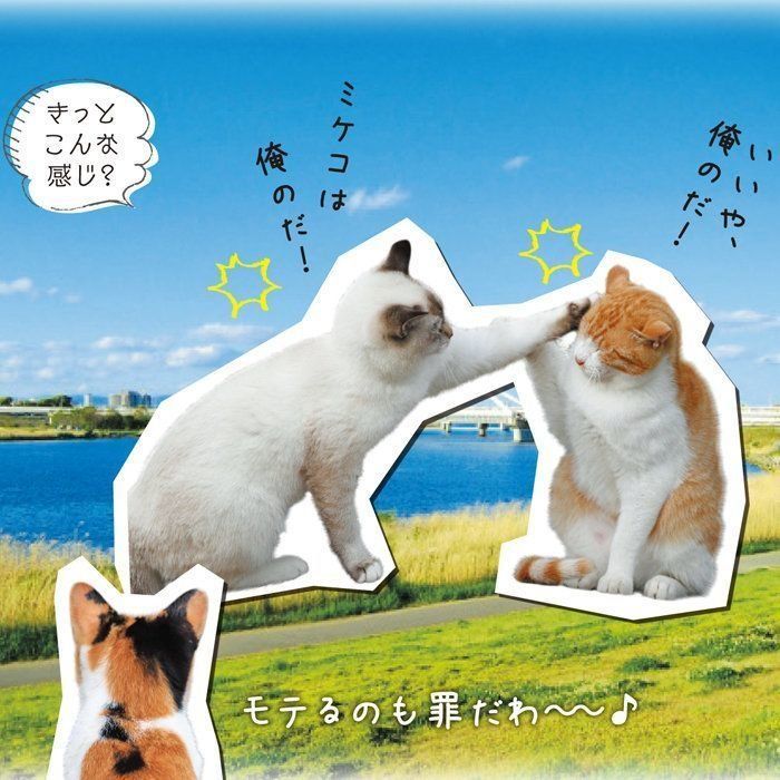 画像／2018年４月号『春は猫もソワソワ、ワクワク猫の恋劇場』