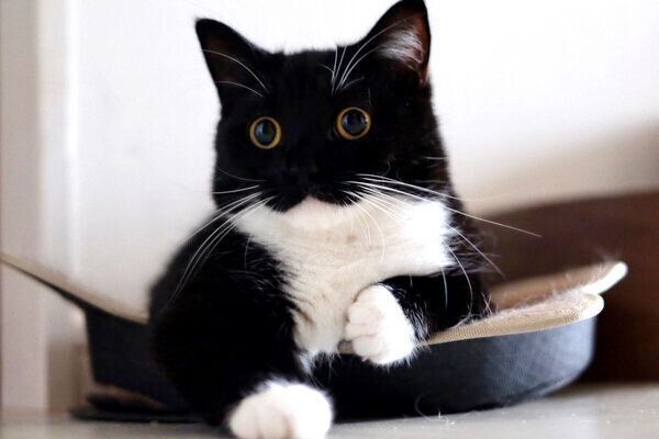 くつろぐうにくん