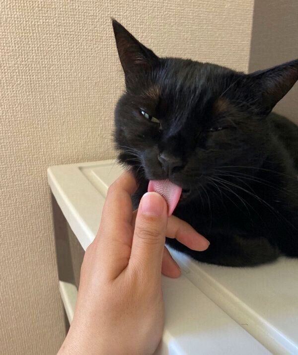 “デレ”モードのあさりちゃん