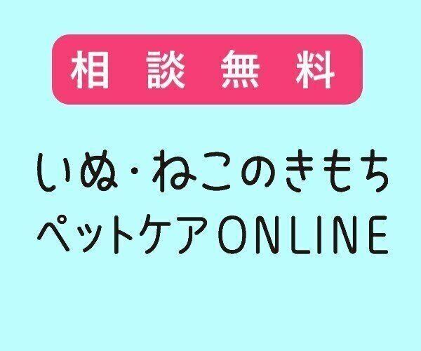相談無料!