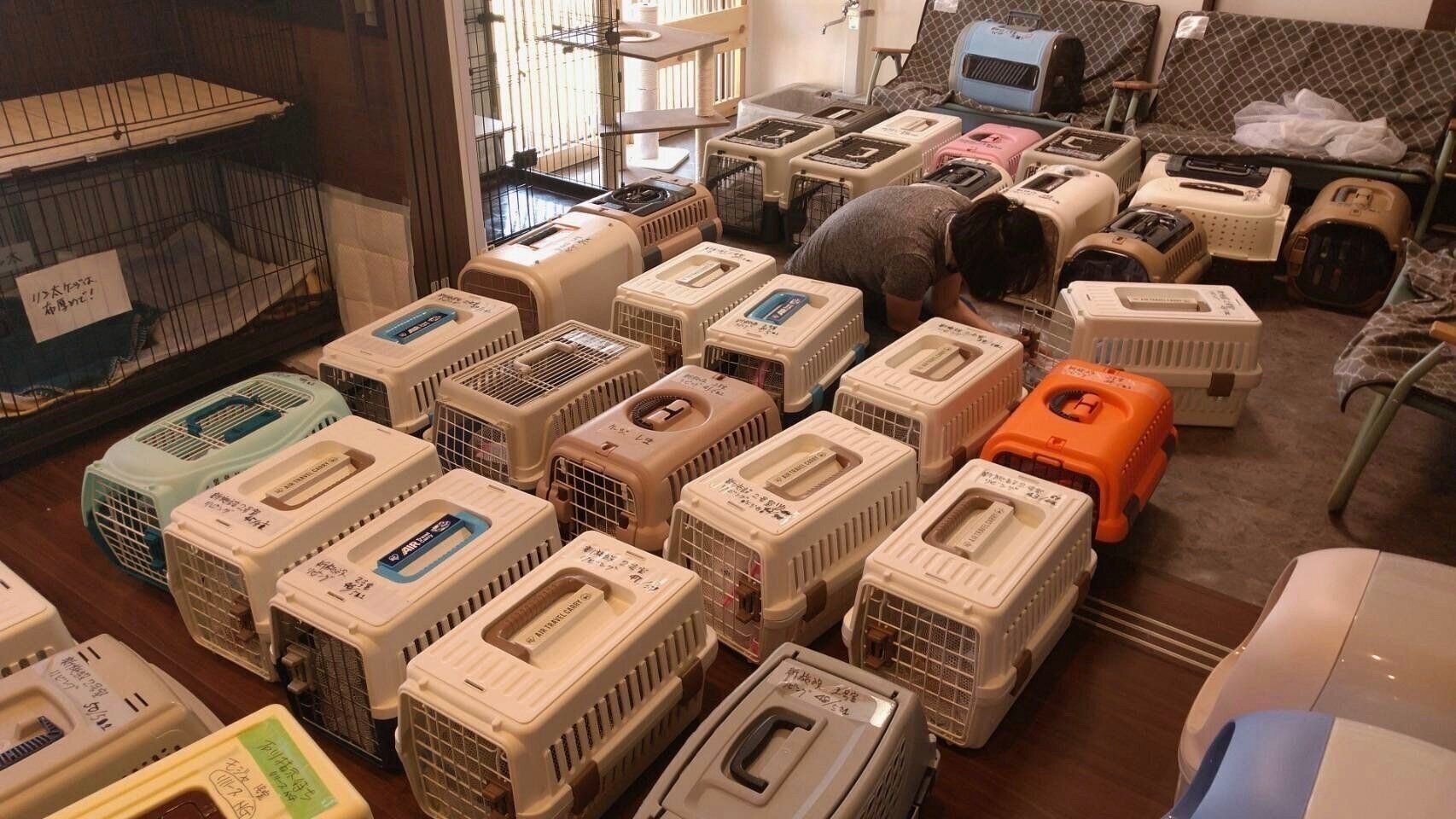 写真提供／ねこひげハウス