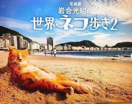 シキンニョちゃん