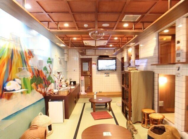 ねこ浴で心も体も健康に