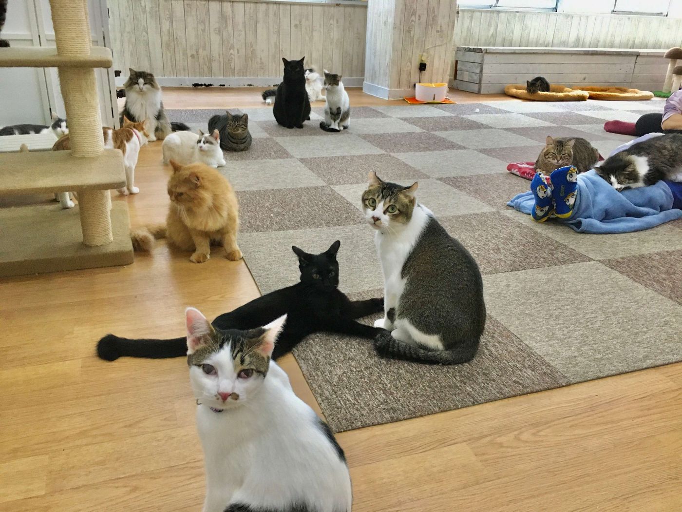 当時のメディア報道・掲載写真