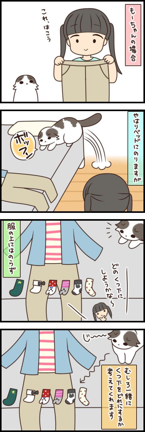 「もふもふスコたん」62話目
