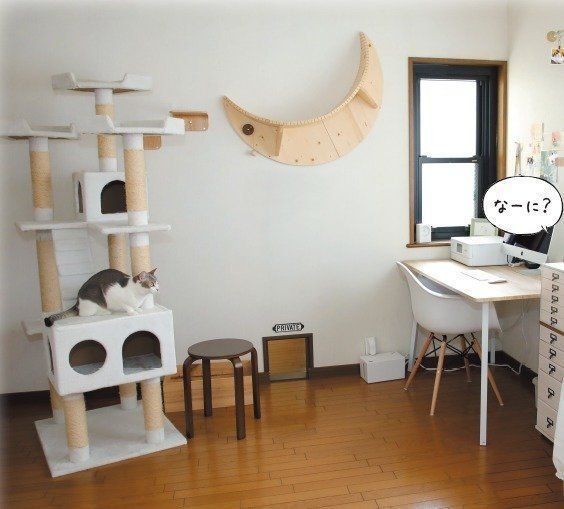 撮影／尾﨑たまき