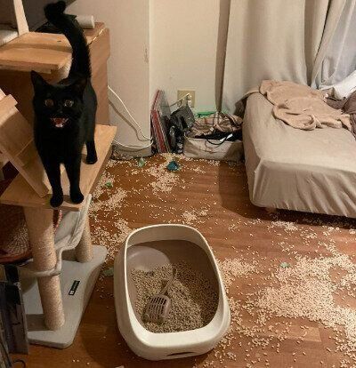 ぐーにーちゃん