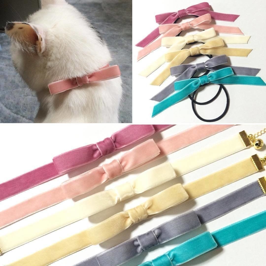 春ベロアのペット用チョーカー＆リボンゴム