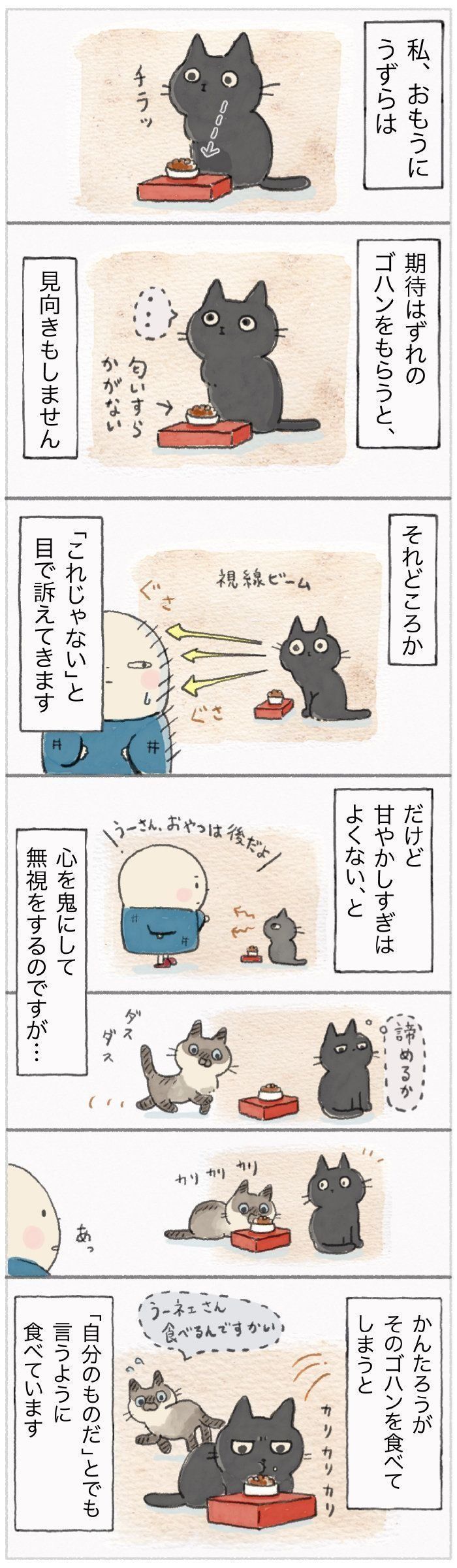 「ねこ連れ草」64話め