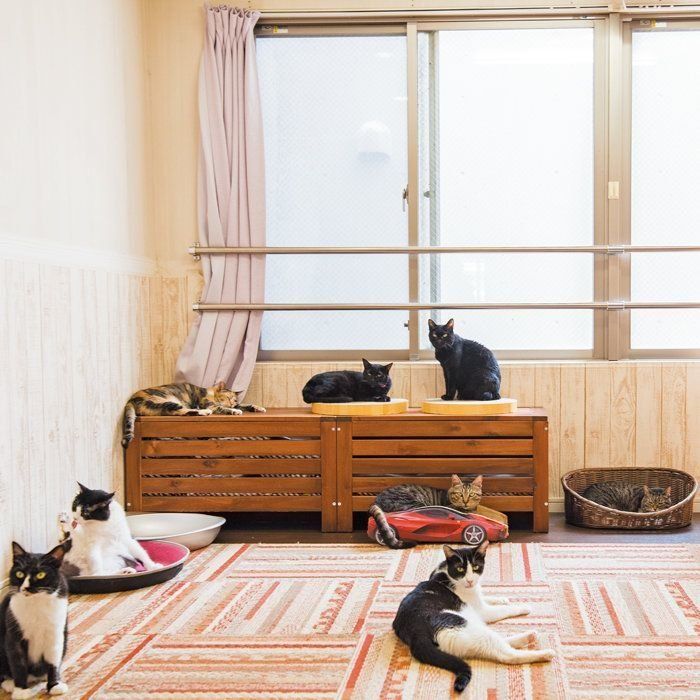 撮影／中川文作