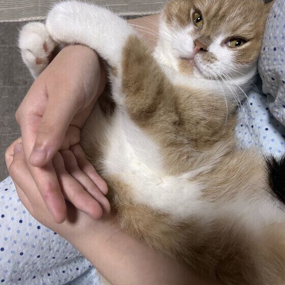 うに  無理やり抱っこは嫌だよ