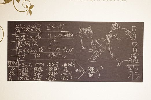 猫マスター本気の猫部屋紹介