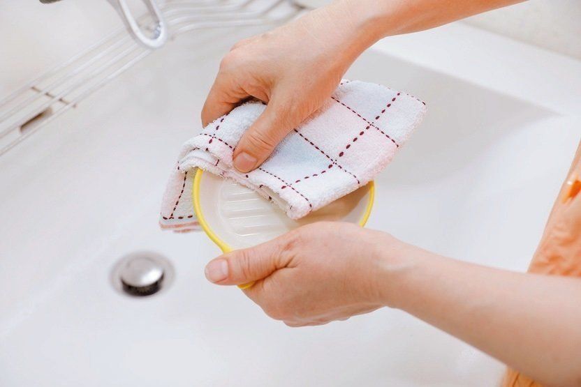 撮影／後藤さくら