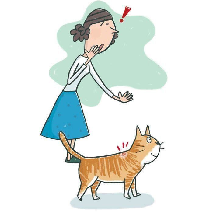 イラスト／上垣厚子