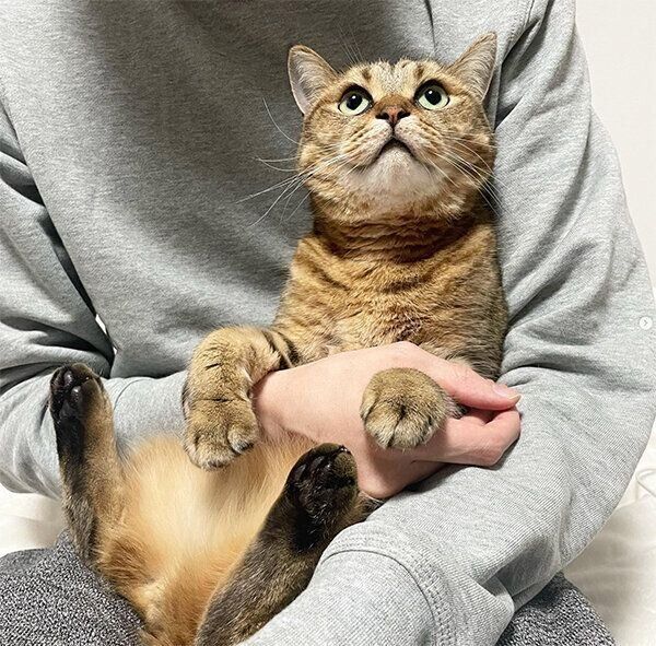 抱っこされるみにらくん