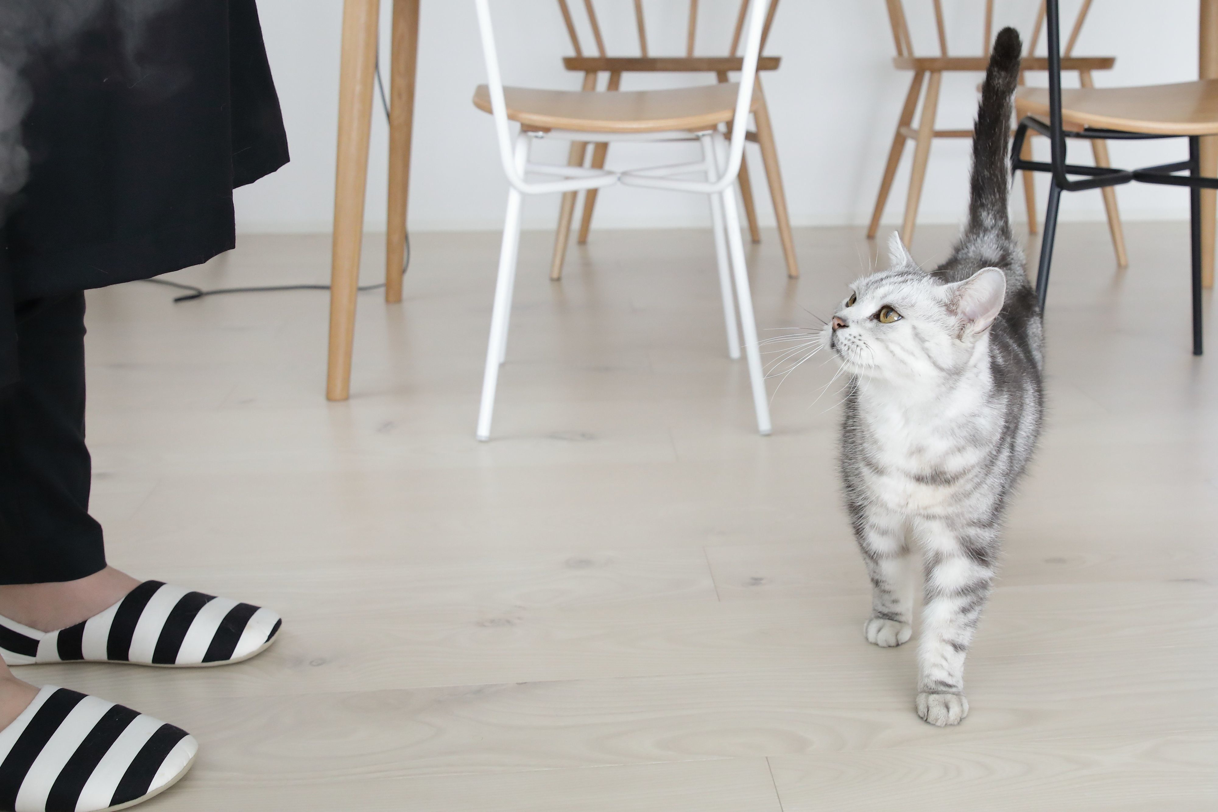 撮影／尾﨑たまき