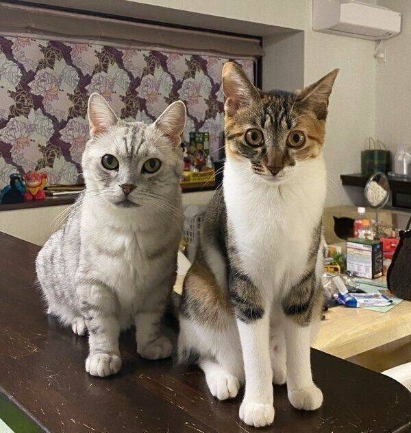 ルチルお兄さんとツーショット