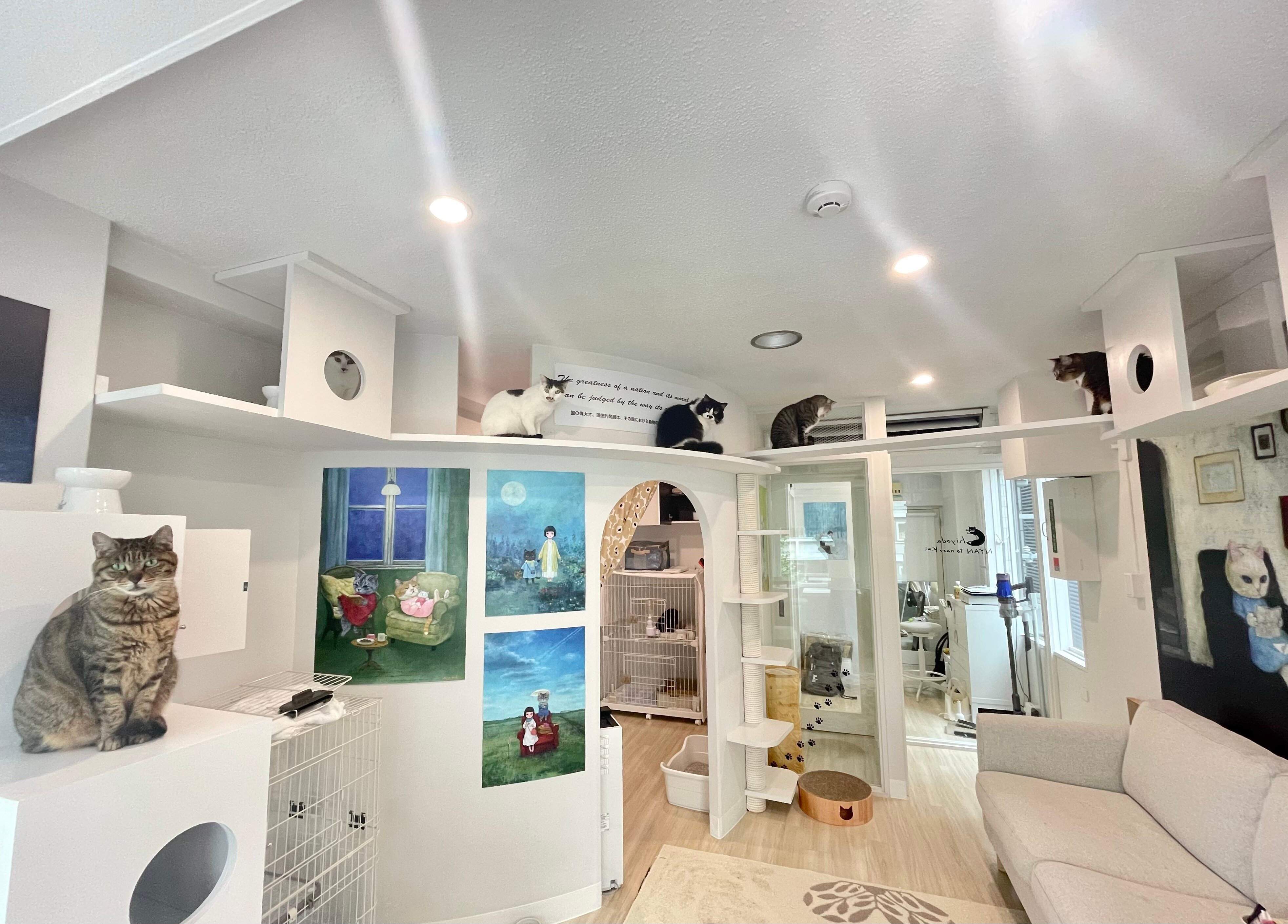 白を基調とした優雅なたたずまい