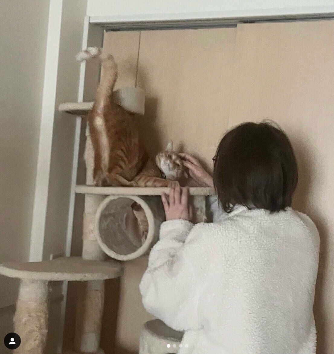 飼い主さんのお母さんが遊びにきて大喜びするうにくん