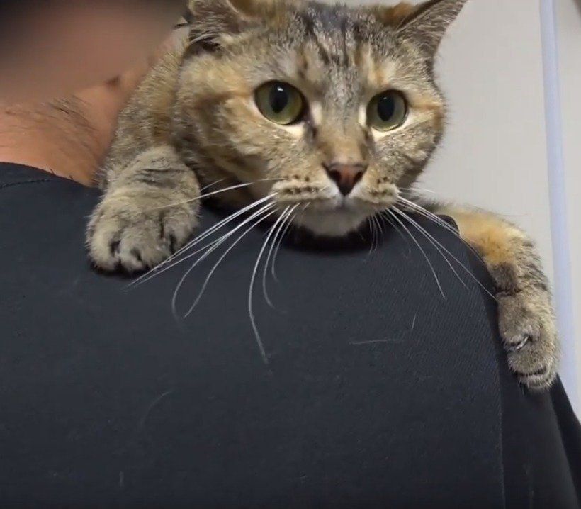 パパに抱っこされるラッキーちゃん