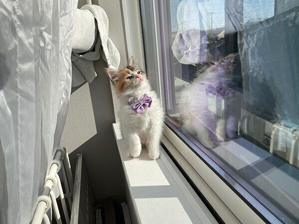 太陽をまぶしそうにしてる顔が可愛いうなぎちゃん