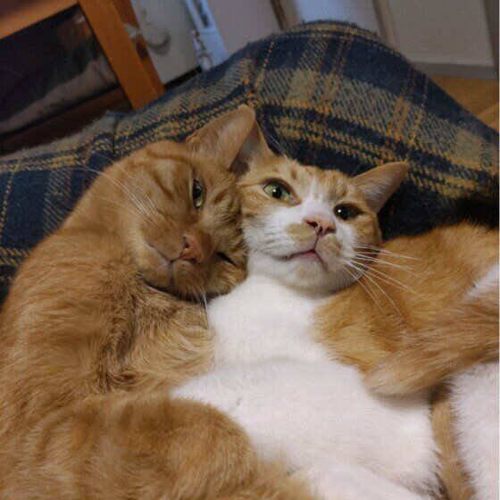 球ちゃんはちょっと迷惑顔だけどこすり合うほど仲良し