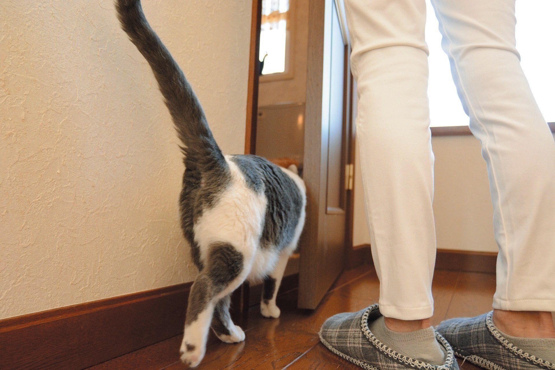 撮影／栗林　愛