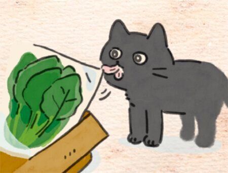 361話めサムネイル