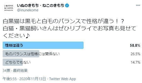 白黒猫についてのアンケート結果