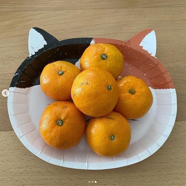 ダイソーの猫グッズ