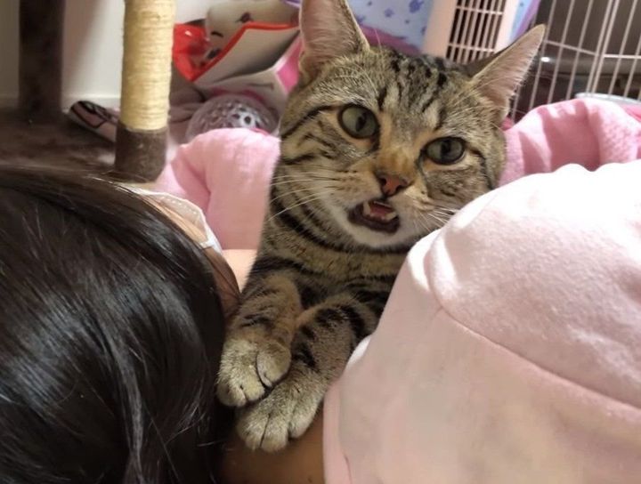 Egwqkbcvcucvpm Egwqkbcvcucvpm