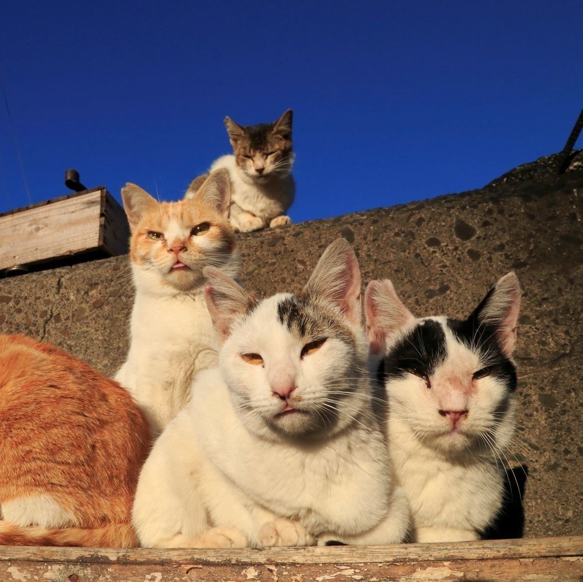 撮影／小森正孝