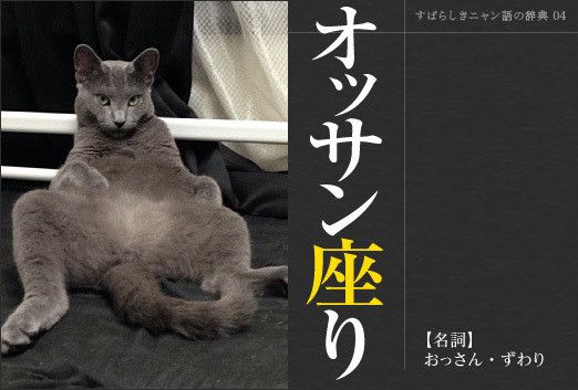 第4回 オッサン座り だらしなくてもかわいい それが猫 すばらしきニャン語の世界 ねこのきもちweb Magazine