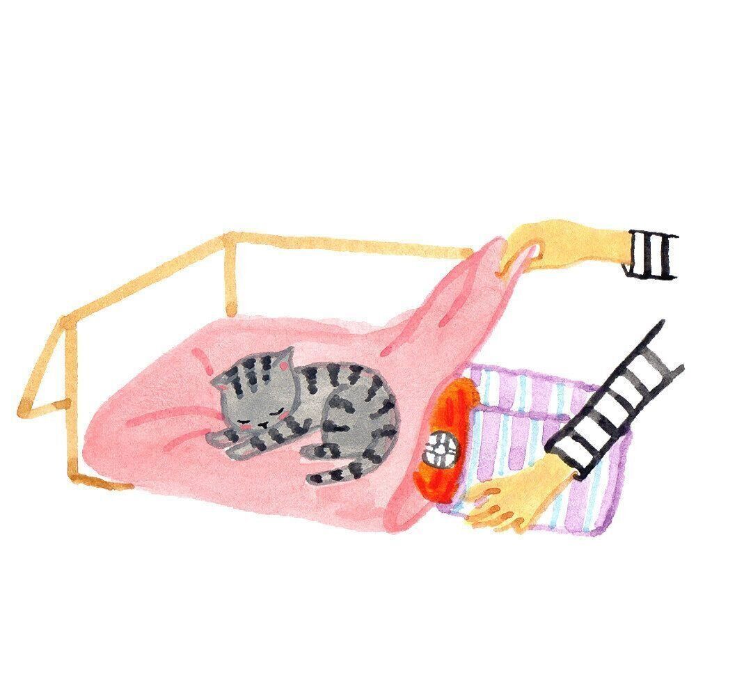 イラスト／竹脇麻衣