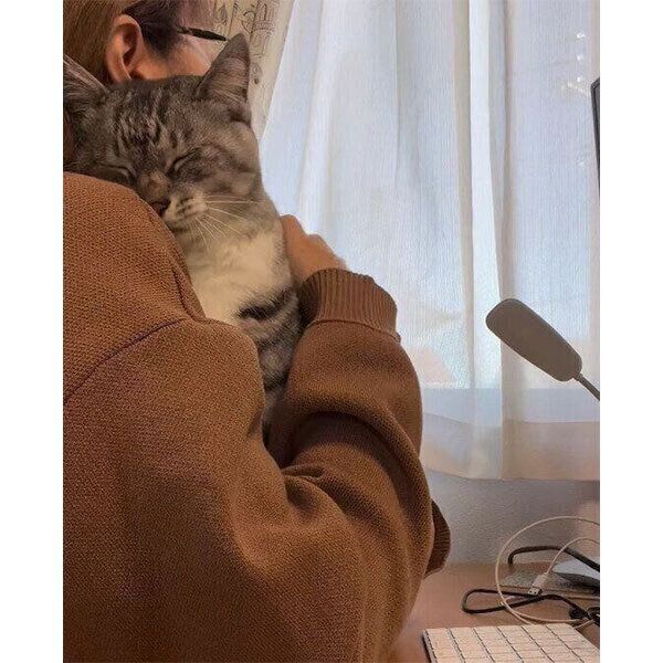 飼い主さんにくっつく影丸くん