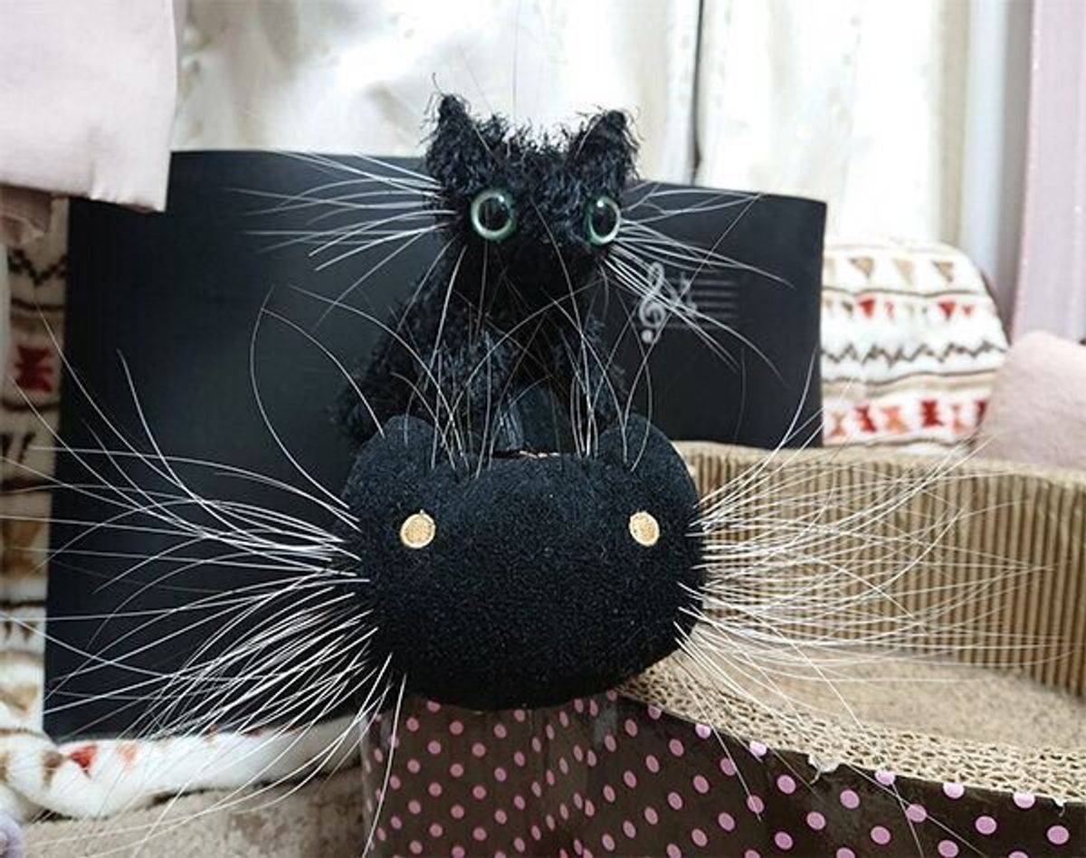 猫の 抜けたヒゲ どうしてる 猫飼いさんが愛用している 保管グッズ が可愛い ねこのきもちweb Magazine 猫の 抜けたヒゲ どうしてる 猫飼いさんが愛用している 保管グッズ が可愛い ねこのきもちweb Magazine
