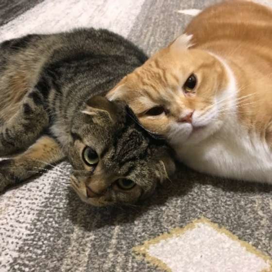 Pdc96r307nvlwm Pdc96r307nvlwm